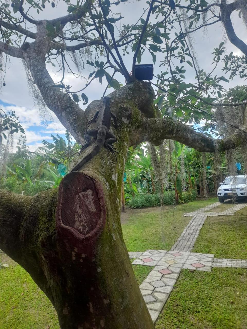 Cabanas La Miranda Filandia Exterior photo