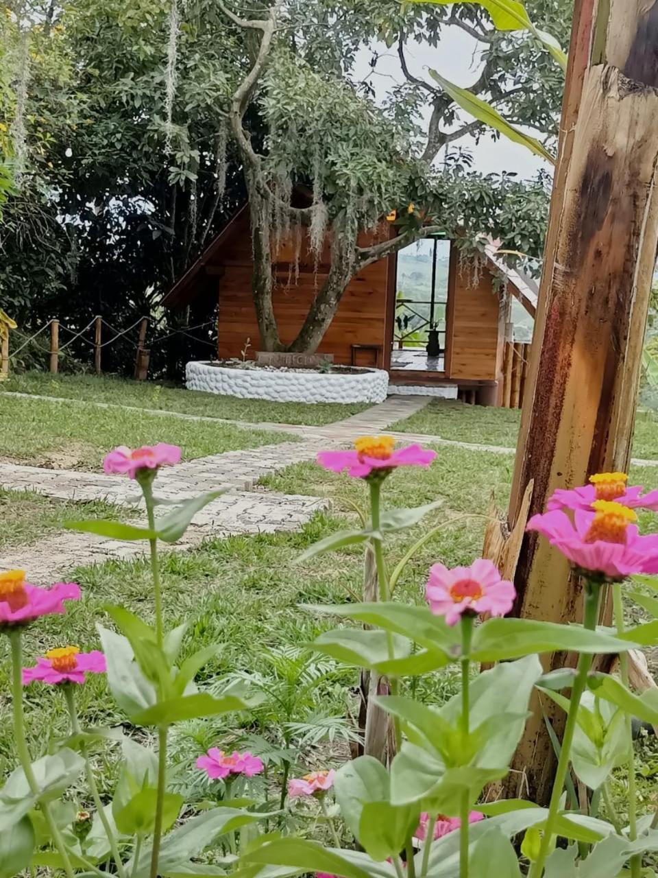Cabanas La Miranda Filandia Exterior photo